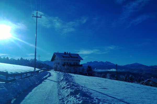Rottensteiner Pension